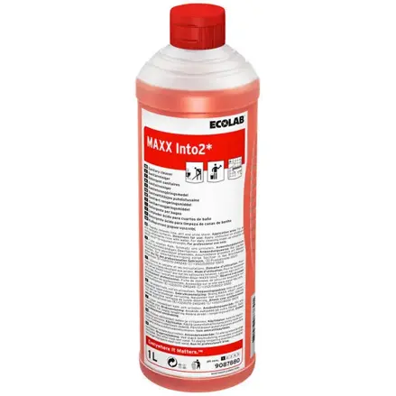 Maxx Into 2, 1L